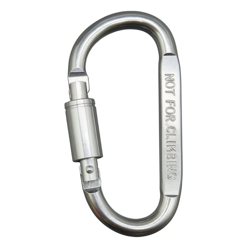 Karabiner Keychain Clips